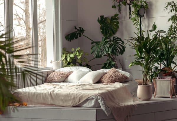 Planten In Slaapkamer
