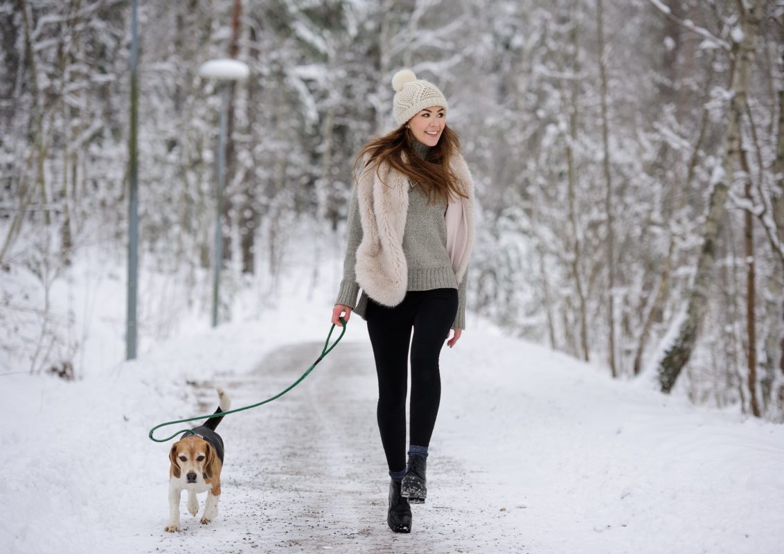 wandelen in de sneeuw in de winter. Sneeuwballen gooien, sneeuw voorspeld wegen Nederland wandelen met de hond in de winterkou