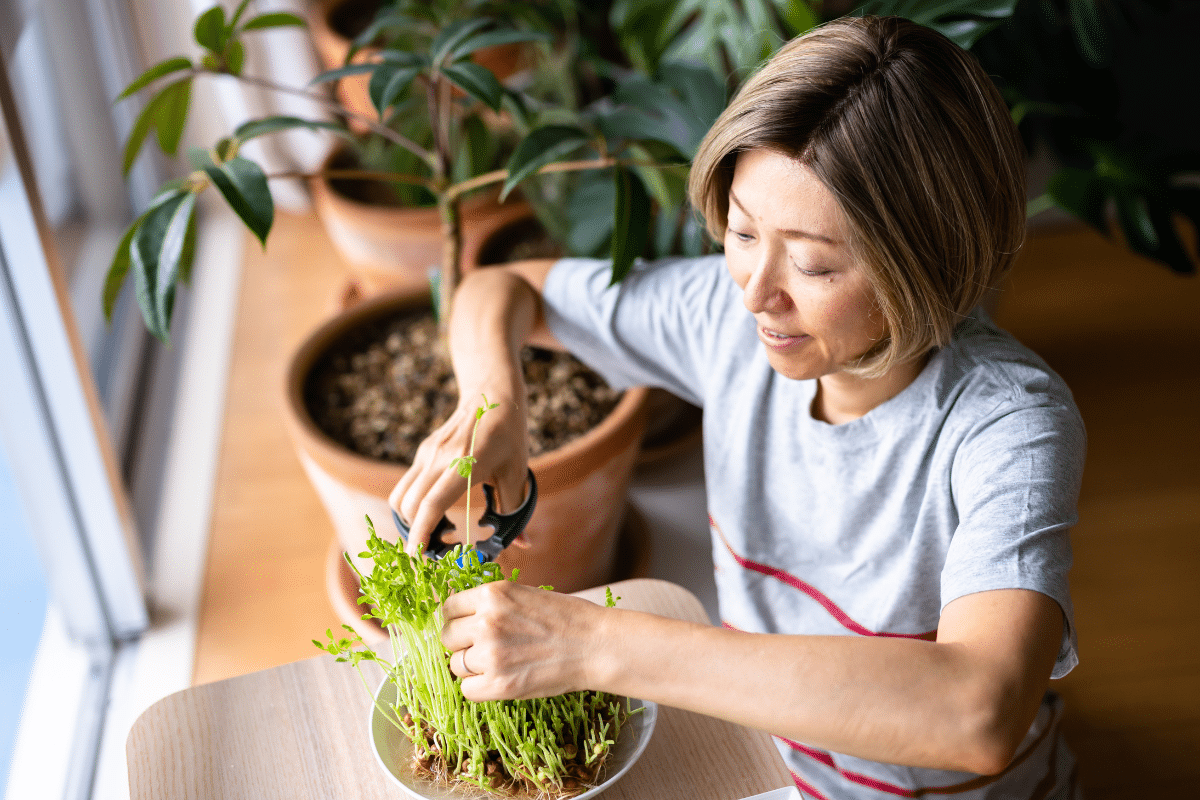 Vrouw is bezig in moestuin