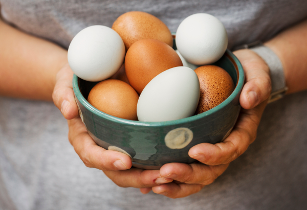 Eggs in freezer