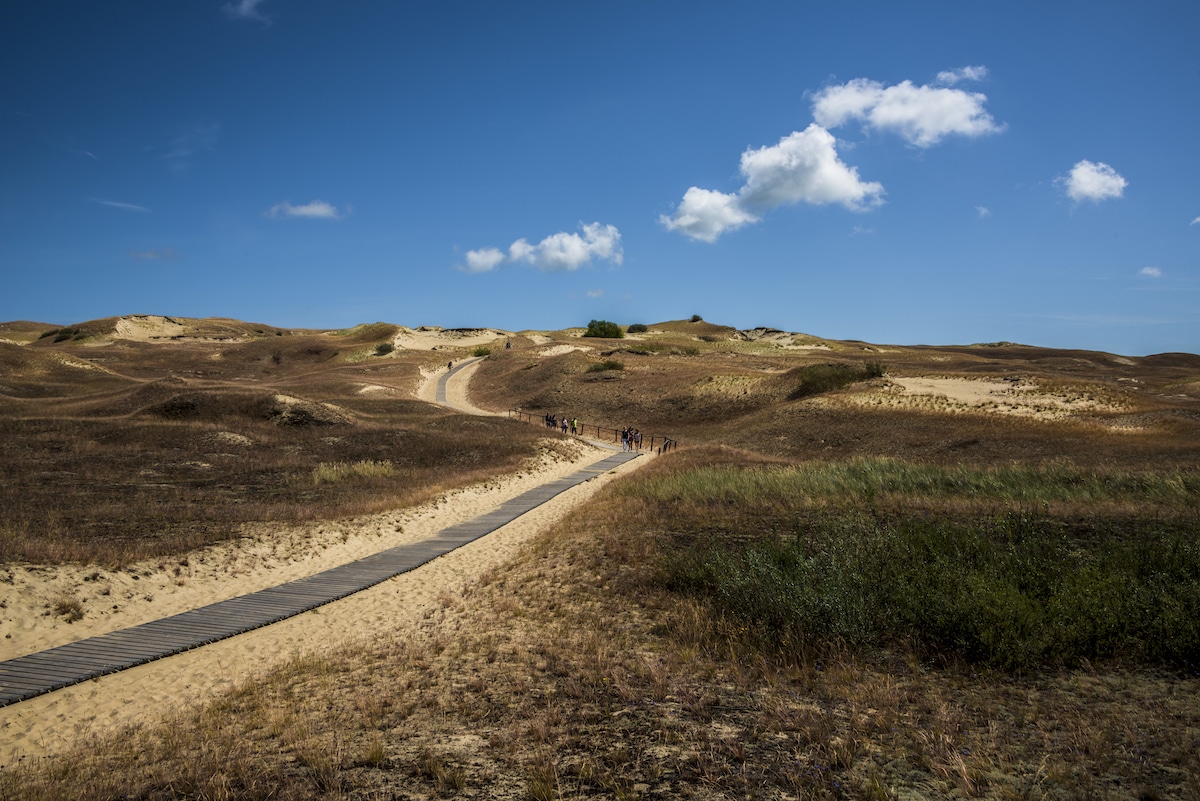 Koerse Schoorwal ©laimonas Ciunys Lithuania Travel