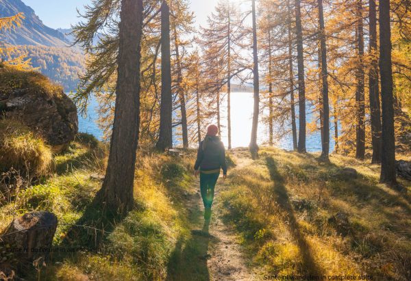 Sante De Natuur In Als Medicijn ga vaker lopen tienduizend stappen per dag