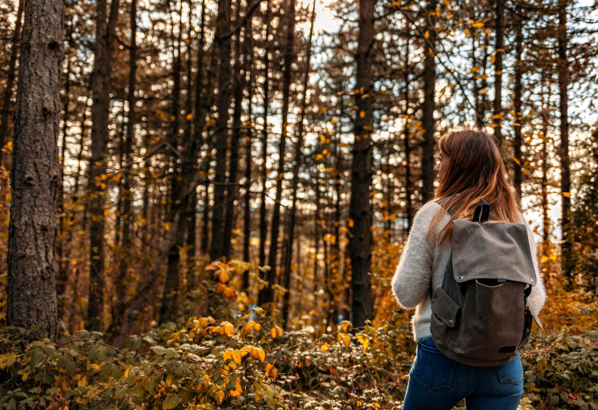 Wandelen Telefoon