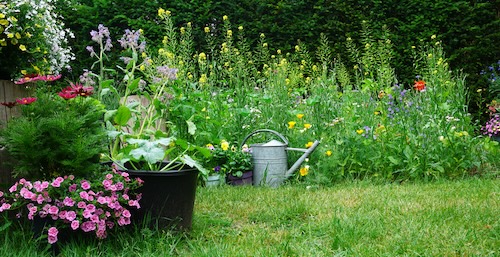 kleine tuin Hoe zorg ik voor meer diepte in mijn tuin? Wat maakt een tuin gezellig?