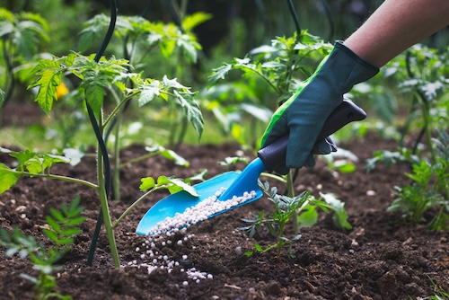 Welke maand moestuin bemesten?