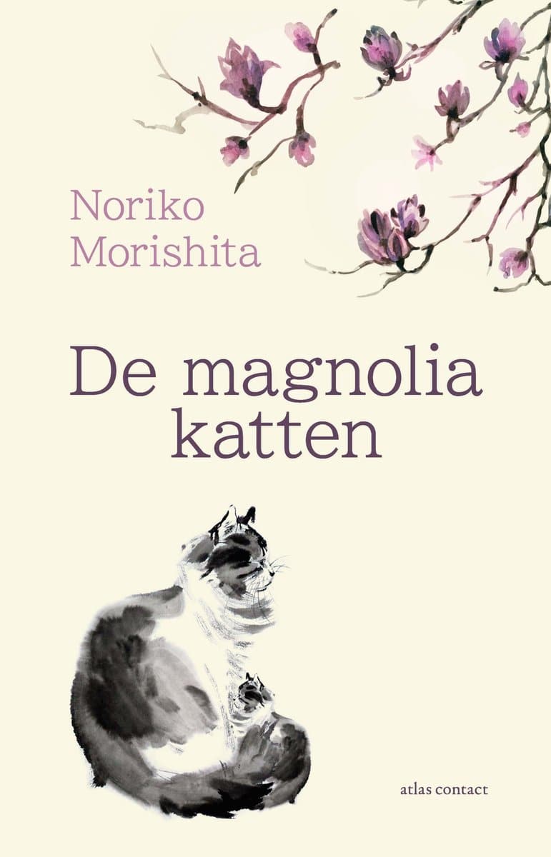 Magnolia Katten