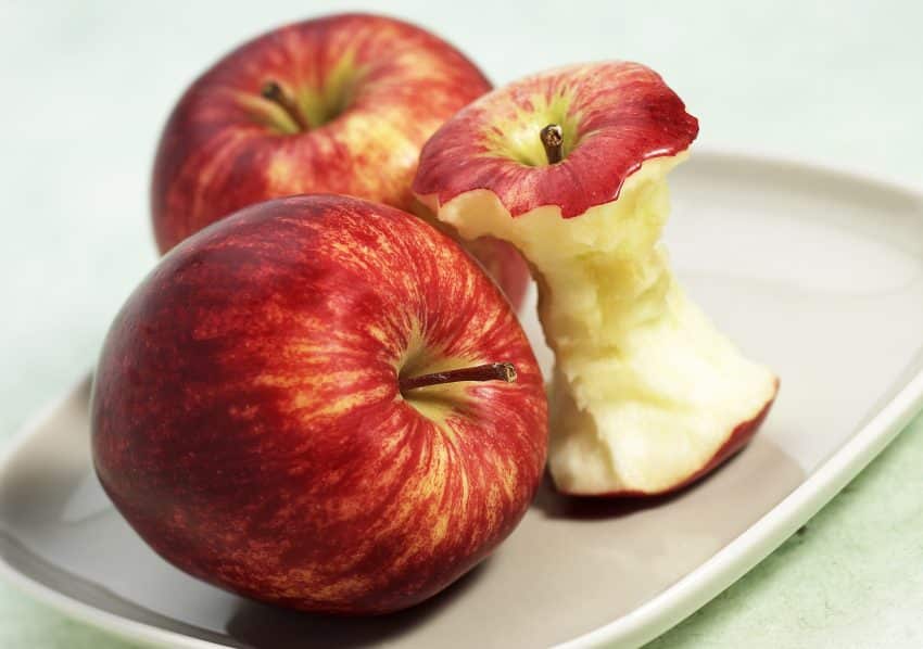 Royal Gala Apple And Core Malus Domestica, klokhuis appel