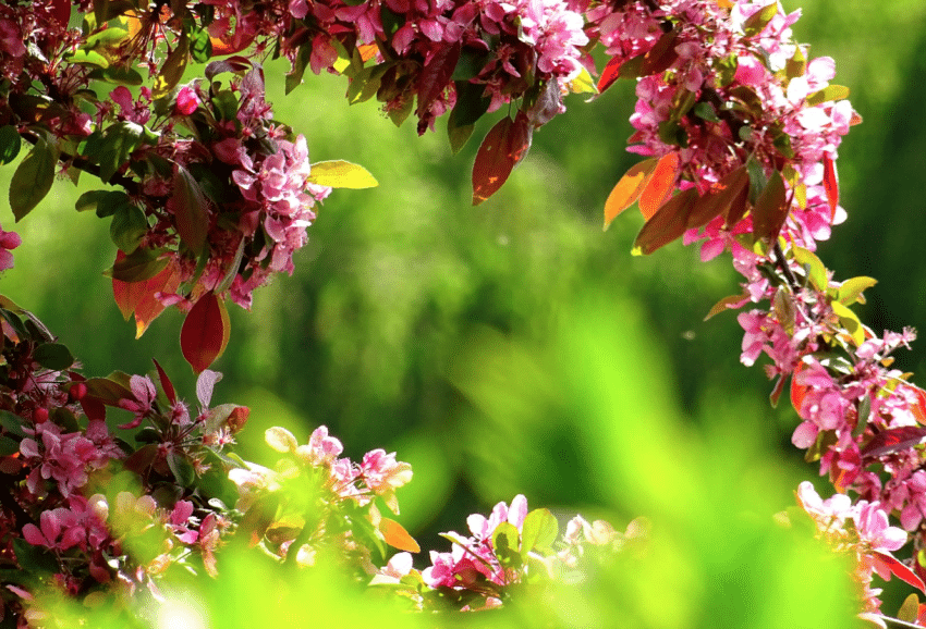 Schermafbeelding 2025 08 08 Om 15.22.21