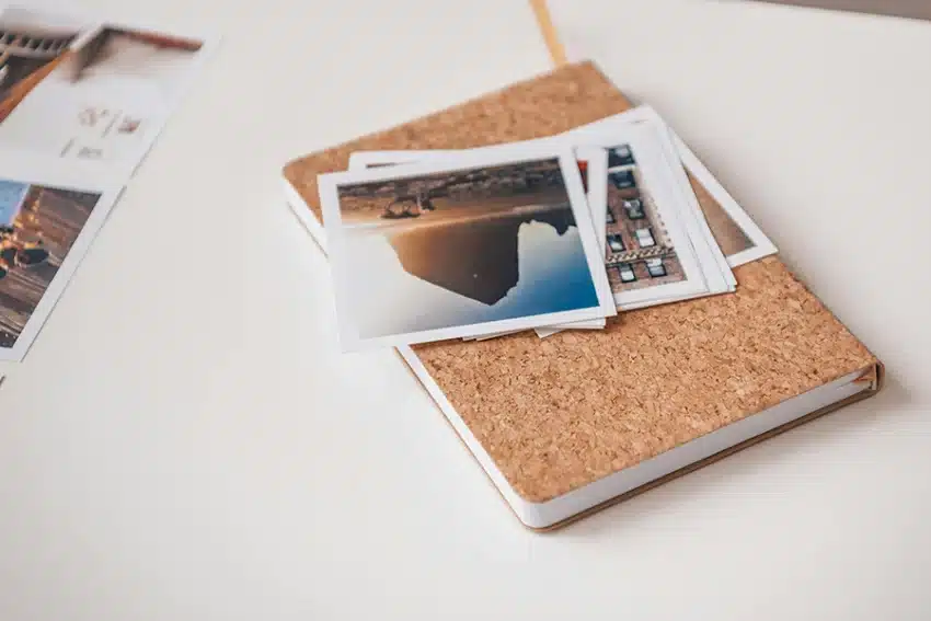 11092025 San Pexels Pnw Prod 9219057