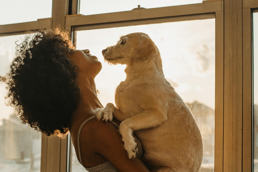 nieuwe dingen januari