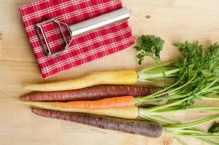 21012026 San Pexels Jason Deines 2993297 19243758