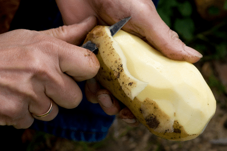 Aardappels Schillen
