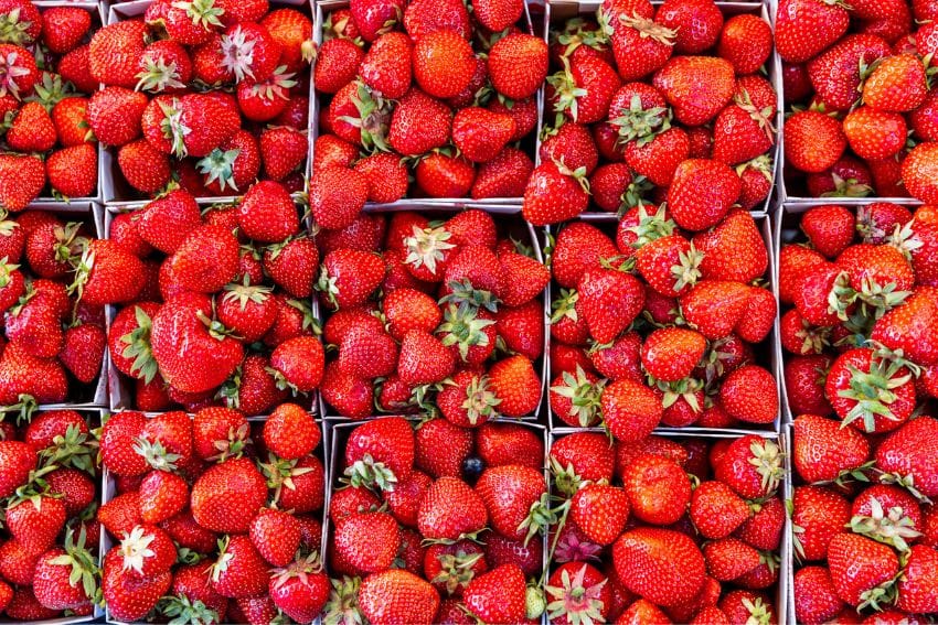 Aardbeien - getty images