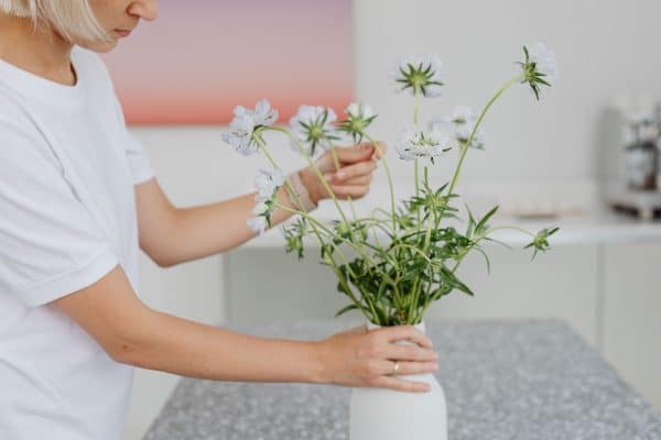 Vrouw Doet Bloemen In Vaas