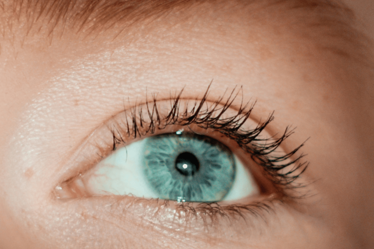 Wimperverf
