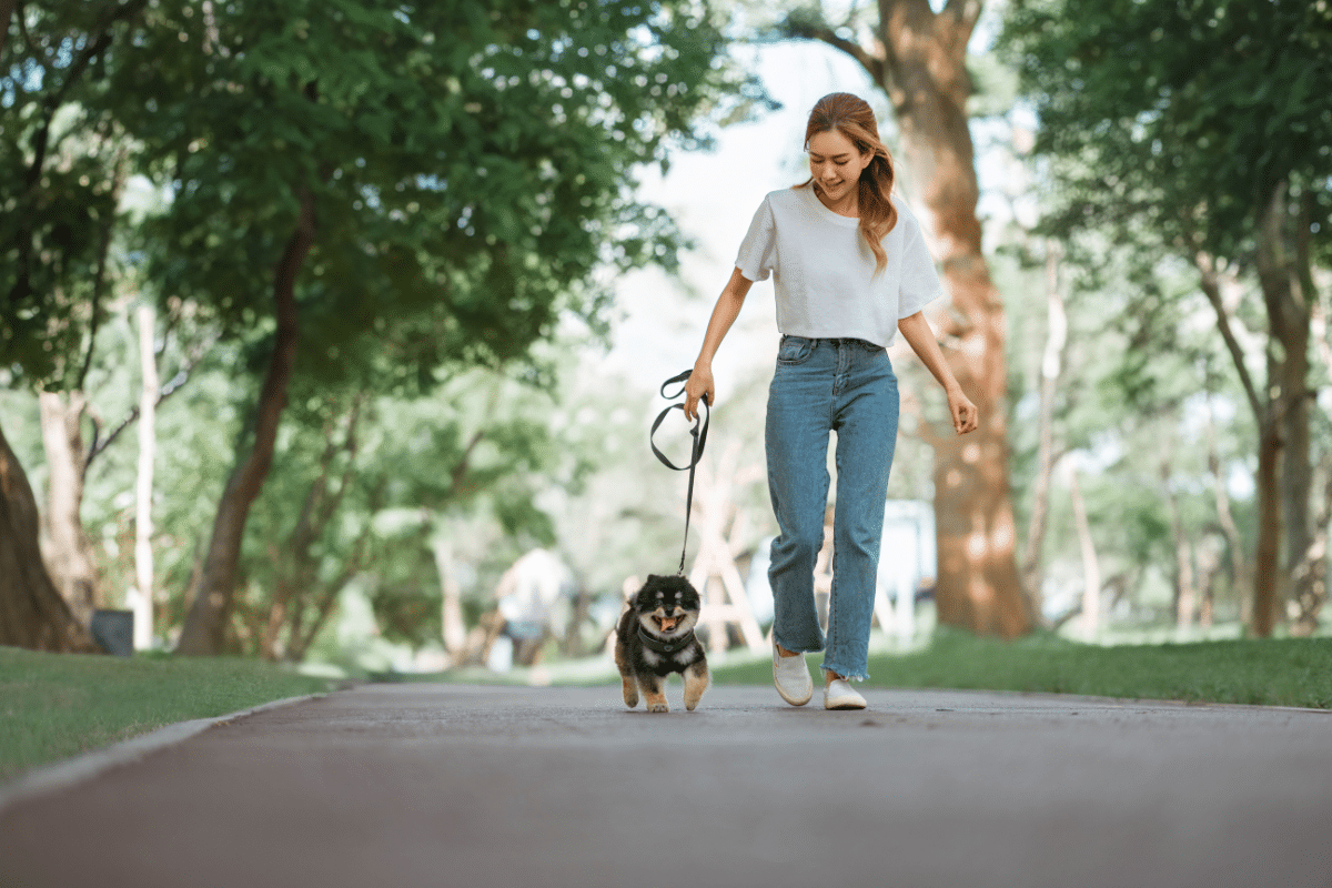 Vrouw wandelt met hondje