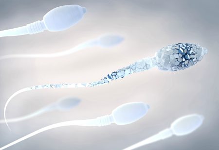 Sperma corona