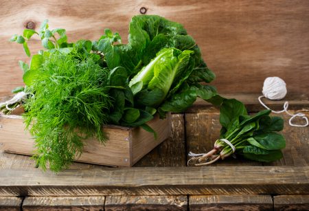 Raw Organic Leafy Green Foods